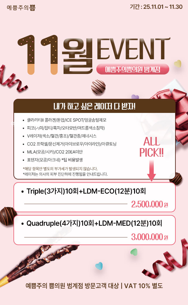 11월 이벤트